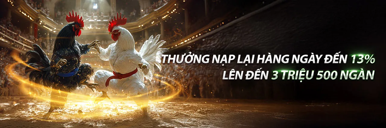 Đá gà trực tuyến 79kig 2026
