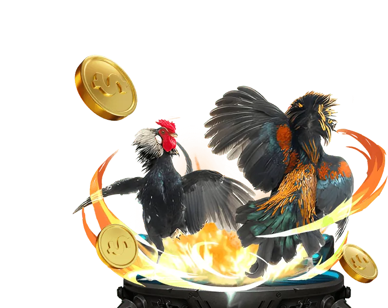 Khuyến mãi casino 79kig